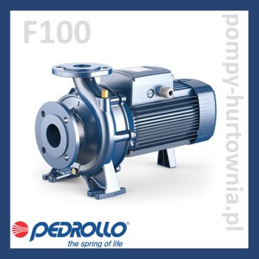 Pompa pozioma 1-stopniowa Pedrollo F100 (wg. normy 