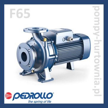 Pompa pozioma 1-stopniowa Pedrollo F65 (wg. normy 