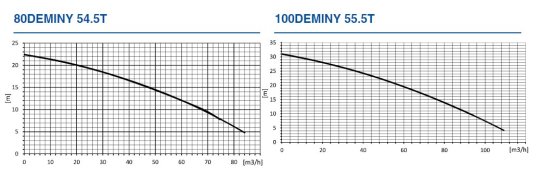 Charakterystyka Ebara 80-100DEMINY