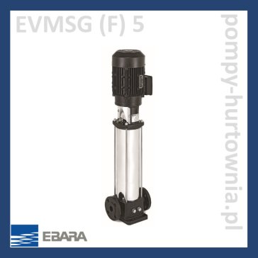 Pompa pionowa Ebara EVMSG (F) 5
