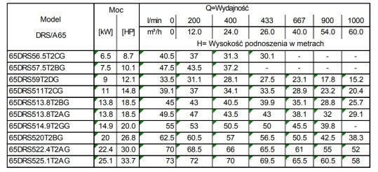 Tabela charakterystyk Ebara DRS 65